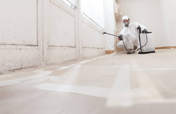 24/7 Emergency Mold Removal experts in Damascus, MD