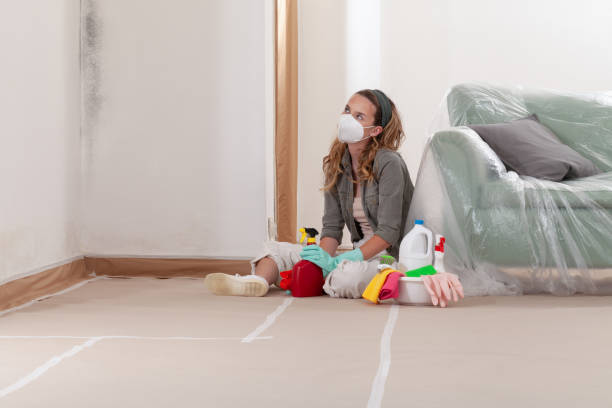 Reliable Mold Removal contractor in Damascus, MD by Mold Remediation HQ